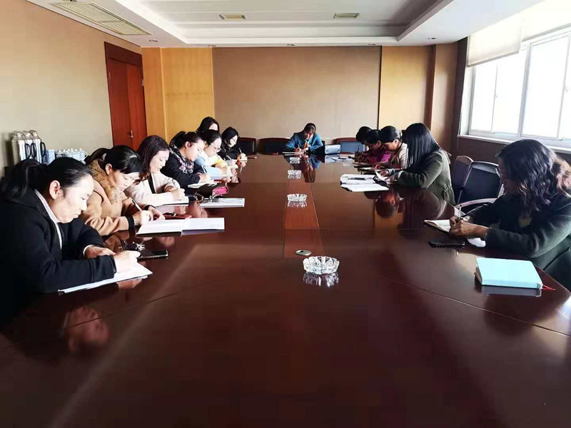 镇,村妇联主席共十余人参加了会议